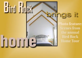 Tide Lines: There is a season — Tern! Tern! Tern!