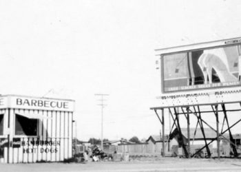 SeaWorld celebrates birth of its fifth dolphin locally