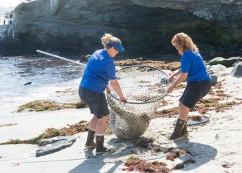 Bird's Surf Scoop: assessing the value, demand for your board