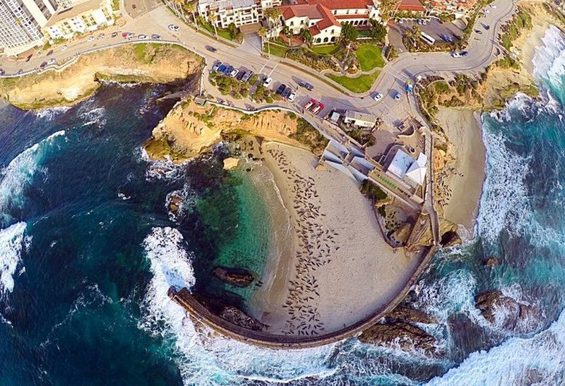 Children’s Pool beach closure for harbor seal pupping season begins Dec. 15
