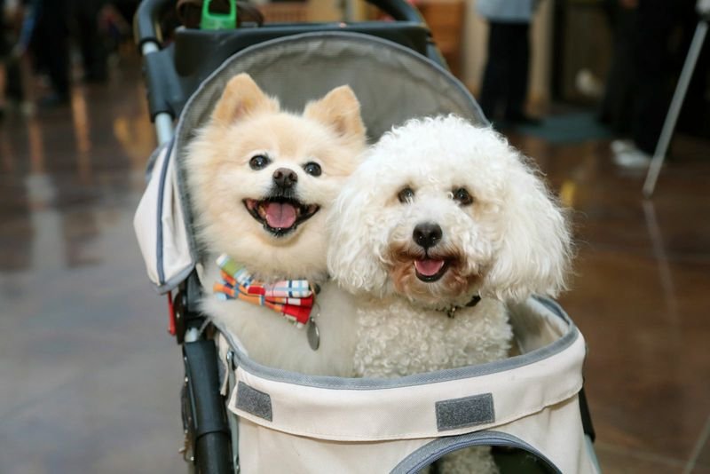 The Dossier, with Lena Evans