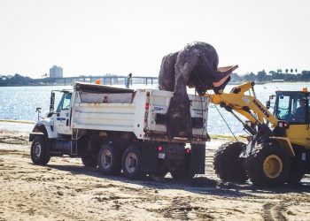 Mission Beach requests that cyclists slow down