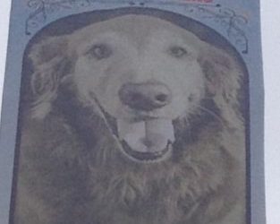 SDG&E says it has power supplies to meet summer demand