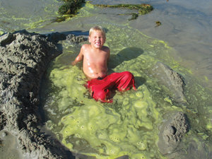 Surf’s up for Luau and Longboard Invitational