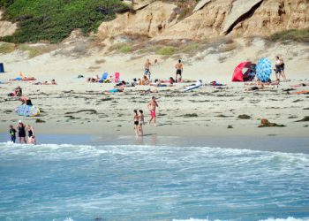 Point Loma men's soccer season preview