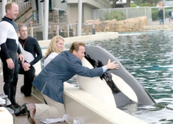 Walking to Battle Breast Cancer