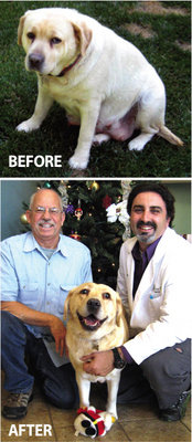 The Biggest Loser - Canine Edition