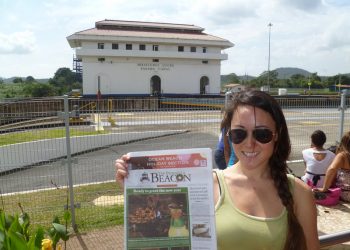 The orca/dolphin debate: writer agrees photo was of killer whale