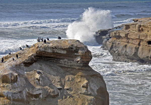 Big waves and strong rip currents this weekend