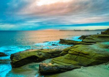 Stadium task force, Petco builders meet on move toward new facility