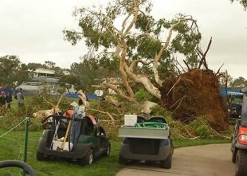 Consistency is the byword as Piatti celebrates 25 years in La Jolla