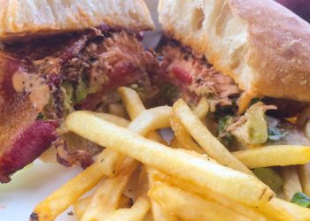 Is your pet ‘banner-worthy?’ Ocean Beach looking to celebrate local pets