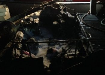 Incubating ecodistrict visions in PB