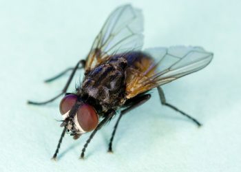 Letters to the Editor – May 4, 2018