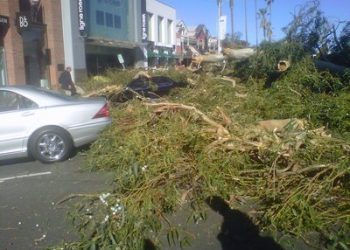 Must read: 'And the Rest is History'