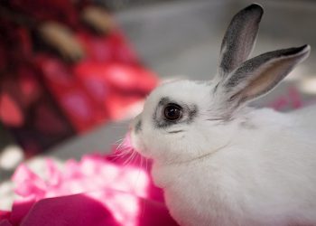 University of San Diego announces Center for Ethics, Economics and Public Policy