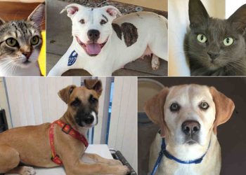 Autumn storm brings rain, which brings accidents