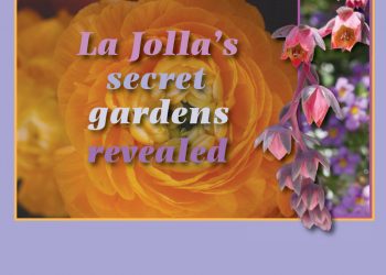 La Jolla's secret gardens revealed