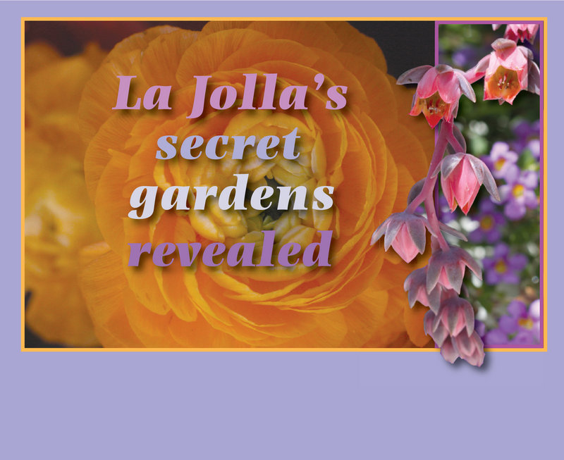 La Jolla's secret gardens revealed