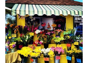 PB town hall meeting to spark ‘eco district’ discussion June 29