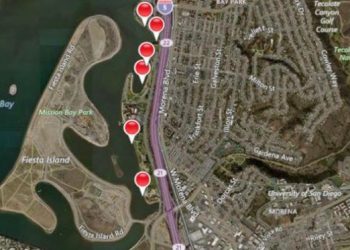 Point Loma man pleads guilty in trafficking, battery case