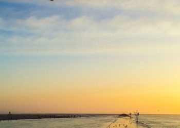 Beach Blaster ride at Belmont Park closed