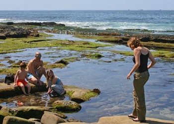 Faulconer backs city move to 'drought alert' status