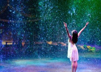 El Nino has arrived with a vengeace; here's how you can help