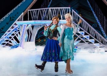 Mayor allocates funding for fighting flies in Mission Beach