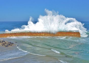 Female robber freed amid 90-day prison study