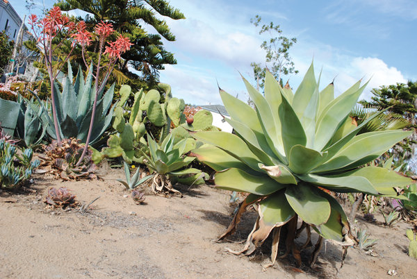 Beautifying PB one median at a time