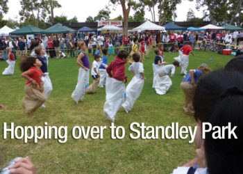 Tidelines: Exploring Sea stars at La Jolla Shores