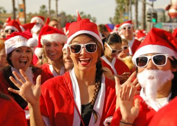 Paw It Forward: donate coats, sweaters for pets of the homeless