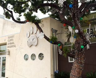 How the Grinch Stole Christmas