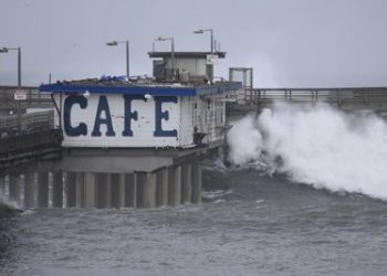 Worm architects build seaworthy sandcastles with own ‘glue’