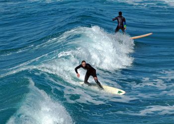 New ice age begins as Gulls come back to roost in San Diego