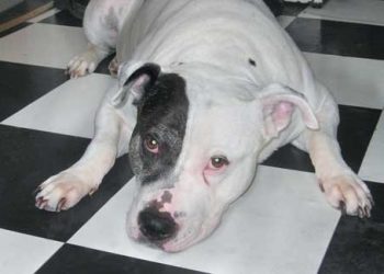 Holiday heroes: Local girl makes waves in coastal communities the world over