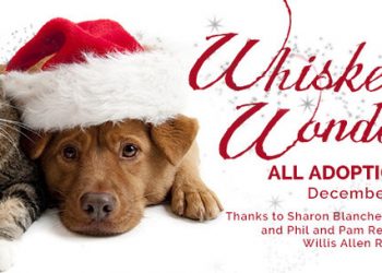 Family owned grocery opens in Point Loma