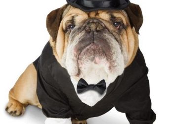 Midway planners consider adding private security