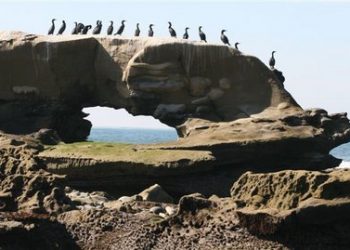 Bombastic Scott Wilson & The Contradictions set to rock Winston’s — hard