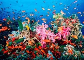 Council OKs minimum hourly wage hike to $11.50