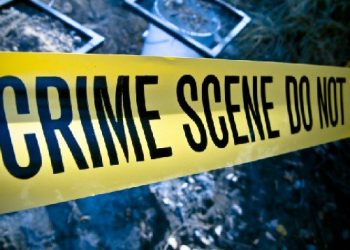 Hit and run driver to stand trial for UC San Diego student death