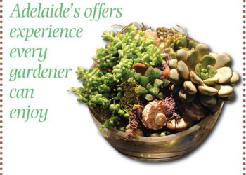 Spotlight on locals: Rose Mary Taylor: a history of making history