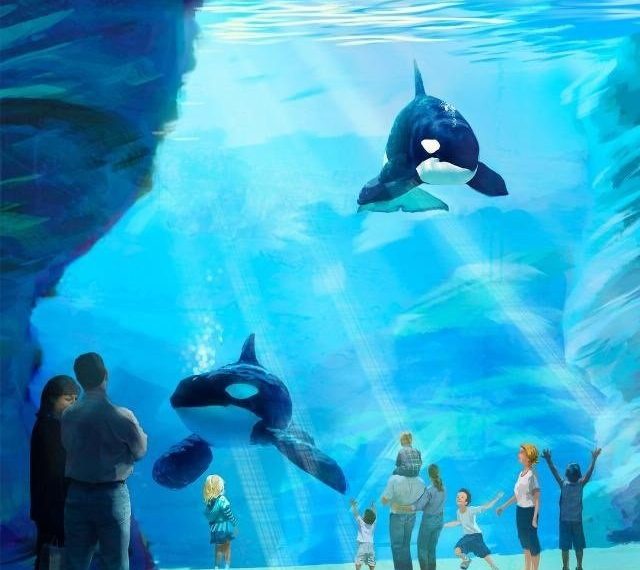 SeaWorld to challenge Coastal Commission over orca restrictions