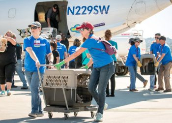 La Jolla Shores Association: Walter Munk celebrates 101st birthday