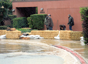 Monday Community Calendar