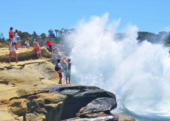 High school students learn the challenges of being wheelchair-bound