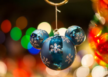 Run for Cover Bookstore and Café serves as new community hub for Ocean Beach