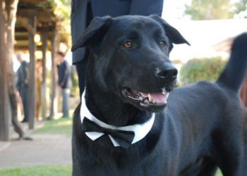 Celebration marks 75 years of La Jolla Post Office