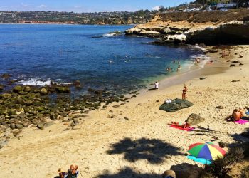 Combining food and culture is local restaurateur's recipe for success